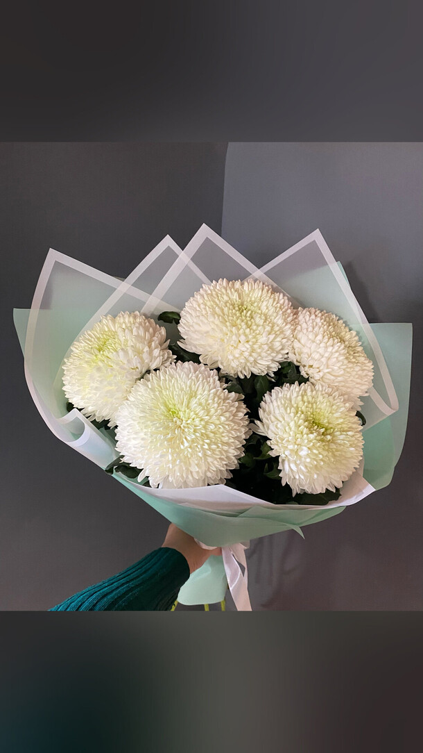 Белые хризантемы, артикул F1244358 - 3750 рублей, доставка по городу. Flawery - доставка цветов