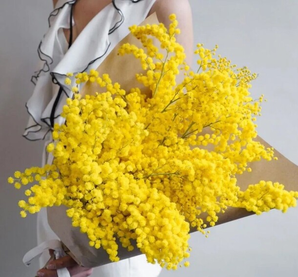 Мимоза, артикул F1390639 - 2500 рублей, доставка по городу. Flawery - доставка цветов