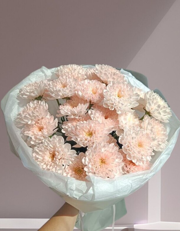 Персиковая хризантема, артикул F1464849 - 2900 рублей, доставка по городу. Flawery - доставка цветов