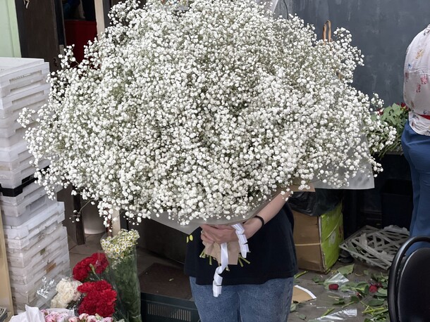 Букет из 25 белые гипсофилы, артикул F1149736 - 8800 рублей, доставка по городу. Flawery - доставка цветов