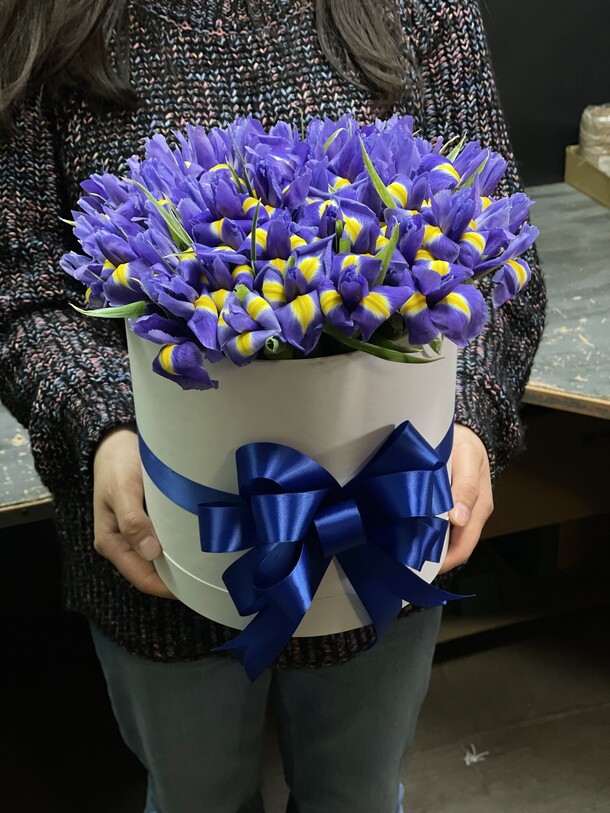 51 ирисов в коробке, артикул F1149751 - 9200 рублей, доставка по городу. Flawery - доставка цветов