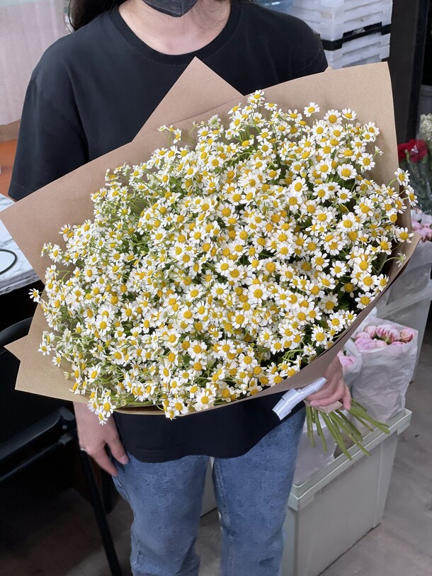 Букет из 25 ромашек камила, артикул F1149885 - 6400 рублей, доставка по городу. Flawery - доставка цветов