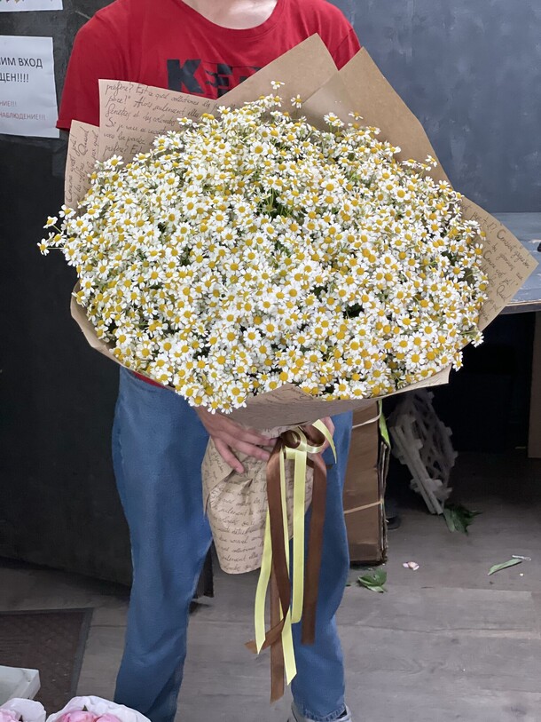 Букет из 51 ромашек, артикул F1149889 - 8195 рублей, доставка по городу. Flawery - доставка цветов