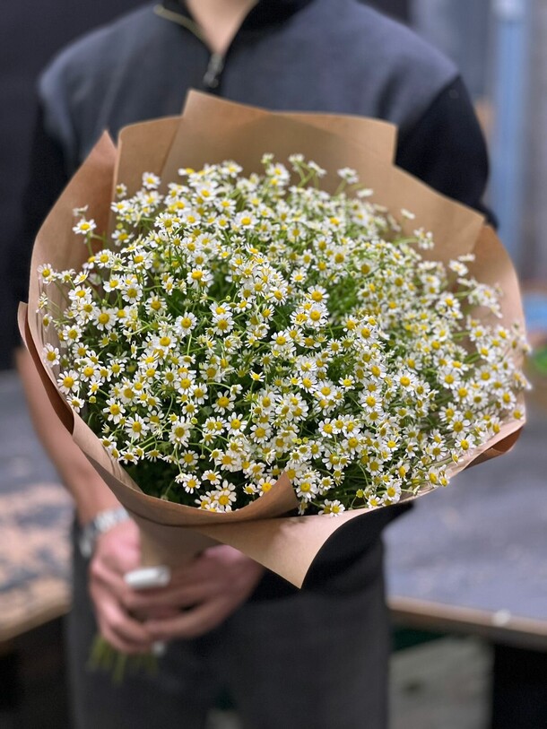 Букет из 25 ромашек, артикул F1153850 - 6700 рублей, доставка по городу. Flawery - доставка цветов
