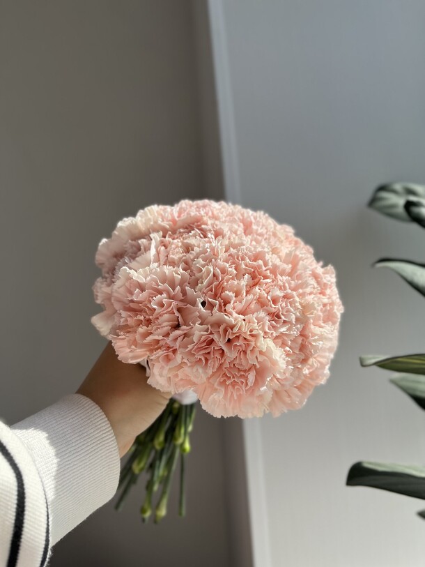 Нежный букет из диантусов, артикул F1206809 - 4500 рублей, доставка по городу. Flawery - доставка цветов