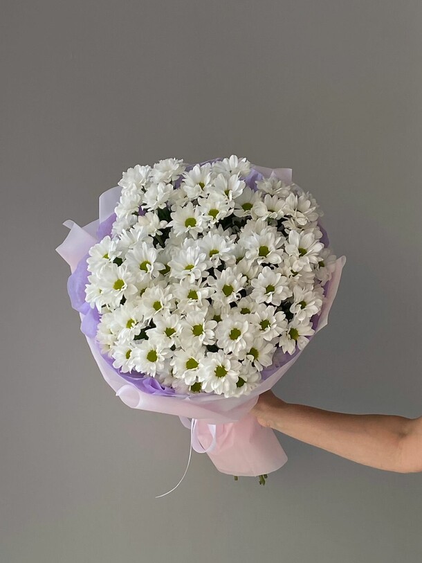 Букет ромашковых хризантем, артикул F1296425 - 4385 рублей, доставка по городу. Flawery - доставка цветов