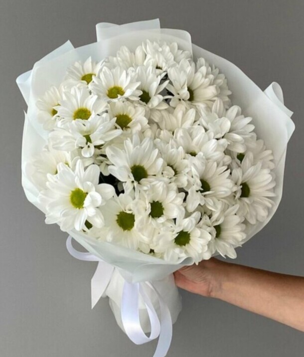 Ромашковое моно, артикул F1296428 - 2380 рублей, доставка по городу. Flawery - доставка цветов