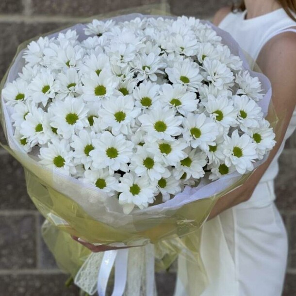 Букет из 15 кустовых хризантем, артикул F1212905 - 7190 рублей, доставка по городу. Flawery - доставка цветов