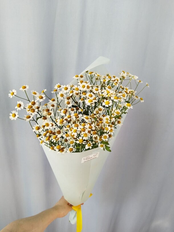 Букет "привет, ромашки" (s), артикул F1446230 - 2100 рублей, доставка по городу. Flawery - доставка цветов