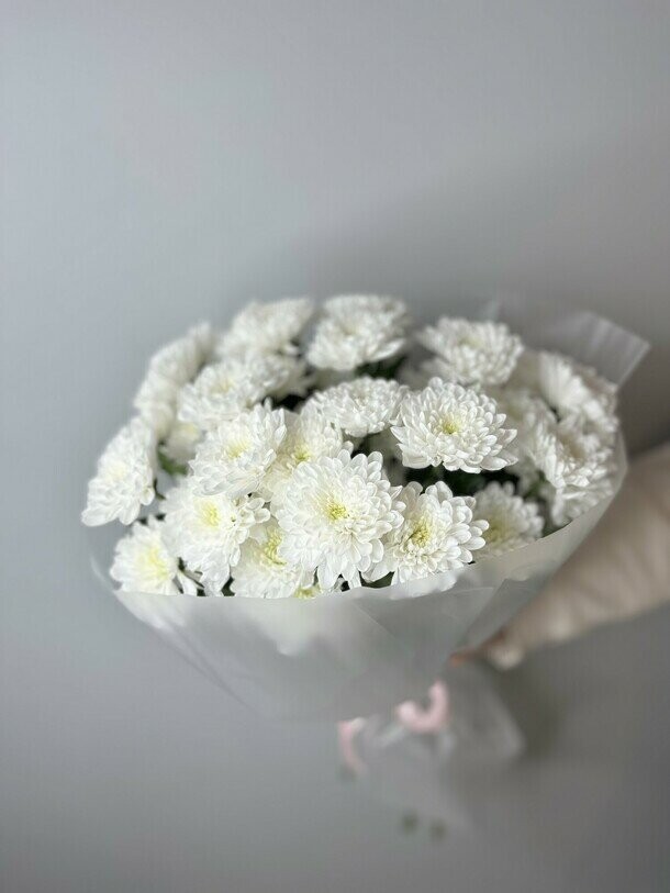 Облако, артикул F1287090 - 3500 рублей, доставка по городу. Flawery - доставка цветов