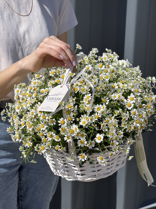 Корзина с полевыми ромашками, артикул F1437332 - 10590 рублей, доставка по городу. Flawery - доставка цветов