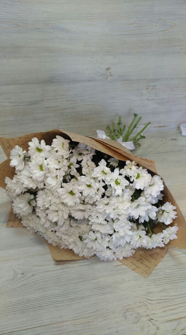 Ромашковая хризантема кустовая, артикул F10288 - 3799 рублей, доставка по городу. Flawery - доставка цветов