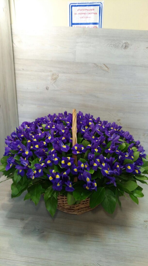 Корзина с ирисами, артикул F10859 - 18259 рублей, доставка по городу. Flawery - доставка цветов