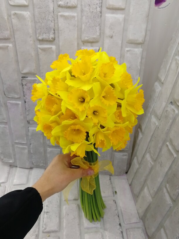 Нарцисс, артикул F1106603 - 5785 рублей, доставка по городу. Flawery - доставка цветов