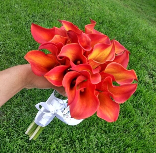 Каллы, артикул F1141516 - 15588 рублей, доставка по городу. Flawery - доставка цветов