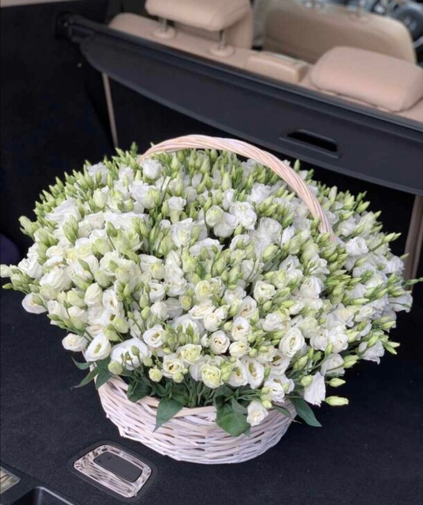 Белый лебедь, артикул F1143523 - 40263 рублей, доставка по городу. Flawery - доставка цветов