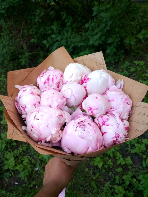 Сара бернард, артикул F21200 - 13309 рублей, доставка по городу. Flawery - доставка цветов