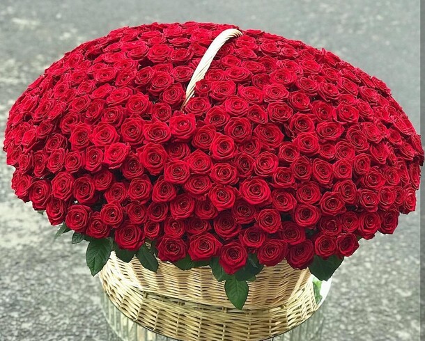 "корзина роз моцарт ", артикул F32179 - 85436 рублей, доставка по городу. Flawery - доставка цветов