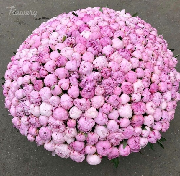 Пионы 251 сара бернар., артикул F32917 - 272250 рублей, доставка по городу. Flawery - доставка цветов