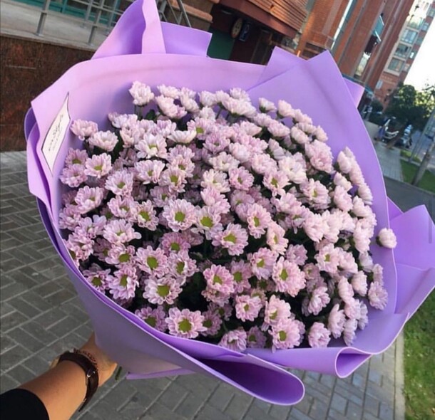 Хризантема кустовая, артикул F61435 - 6599 рублей, доставка по городу. Flawery - доставка цветов