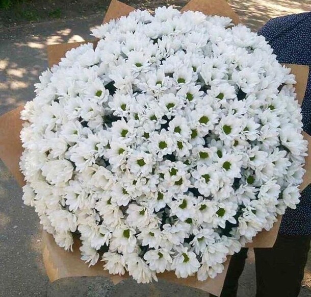 Зимнее серебро, артикул F61450 - 31566 рублей, доставка по городу. Flawery - доставка цветов