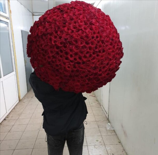 Роза роз, артикул F61471 - 66000 рублей, доставка по городу. Flawery - доставка цветов