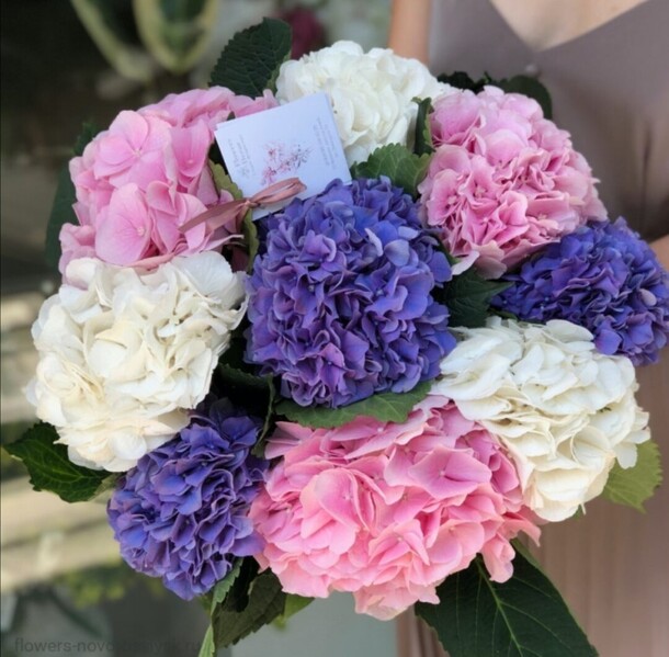 Гортензия, артикул F82030 - 22870 рублей, доставка по городу. Flawery - доставка цветов