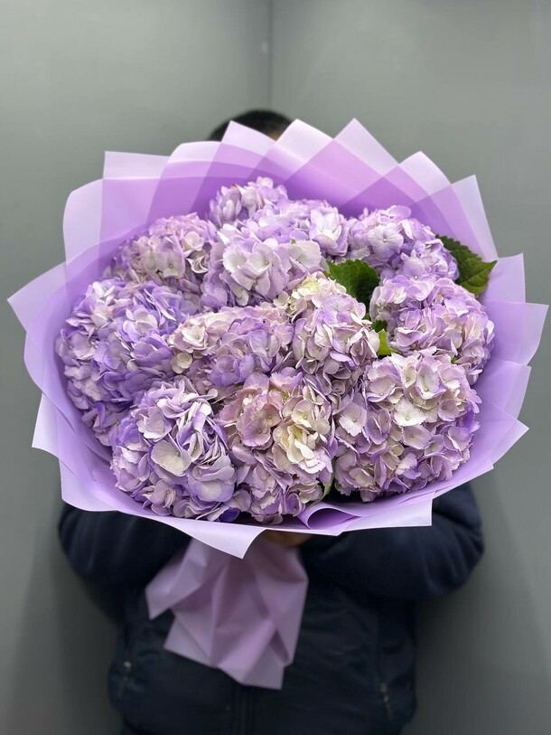 Букет из 11 гортензии, артикул F1223169 - 7100 рублей, доставка по городу. Flawery - доставка цветов