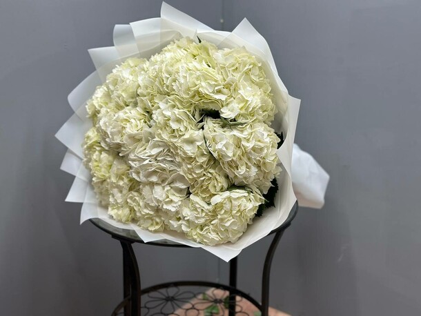 Букет из 21 гортензии, артикул F1223174 - 21296 рублей, доставка по городу. Flawery - доставка цветов
