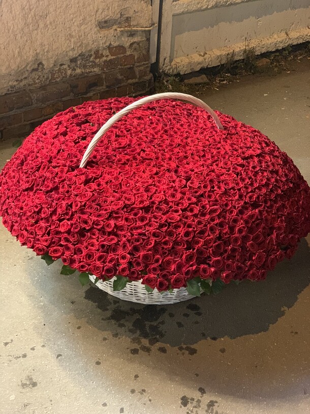 501 роза, артикул F1150092 - 127272 рублей, доставка по городу. Flawery - доставка цветов