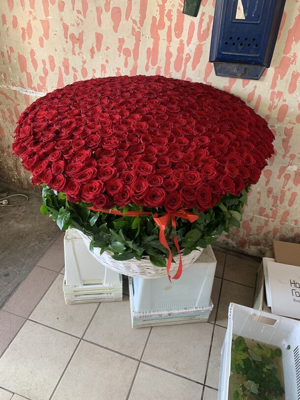 301 роза, артикул F1150095 - 263636 рублей, доставка по городу. Flawery - доставка цветов