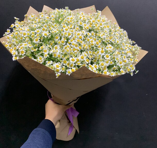 Ромашка 49, артикул F1150221 - 16719 рублей, доставка по городу. Flawery - доставка цветов