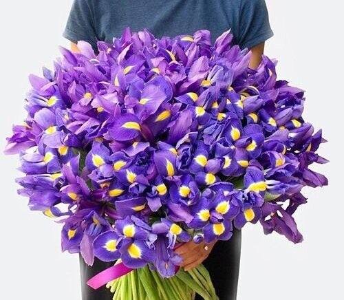 Ирисовое облака, артикул F1206890 - 15455 рублей, доставка по городу. Flawery - доставка цветов