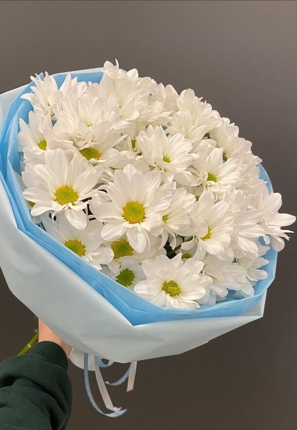 Хризантемы, артикул F1207731 - 5829 рублей, доставка по городу. Flawery - доставка цветов