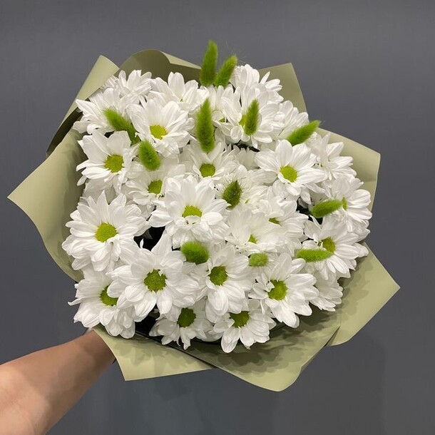 Хризанте кустовая, артикул F1232825 - 3519 рублей, доставка по городу. Flawery - доставка цветов