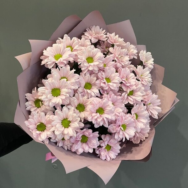 Хризанте 💕, артикул F1232826 - 5059 рублей, доставка по городу. Flawery - доставка цветов