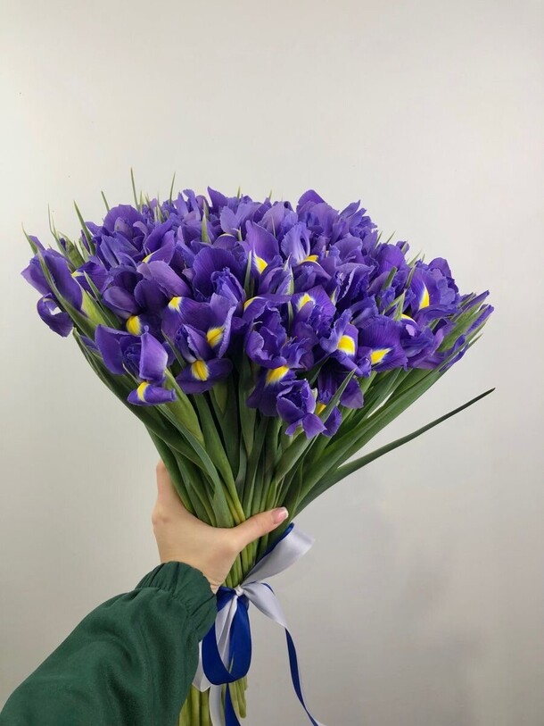 Ирис 51, артикул F1241983 - 9090 рублей, доставка по городу. Flawery - доставка цветов