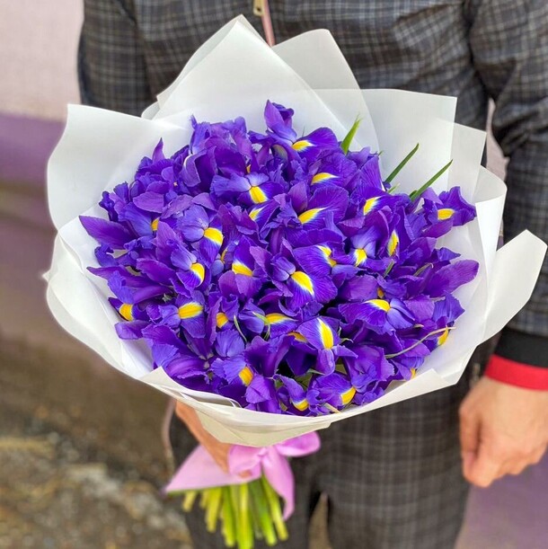 49 ирис, артикул F1242402 - 8727 рублей, доставка по городу. Flawery - доставка цветов