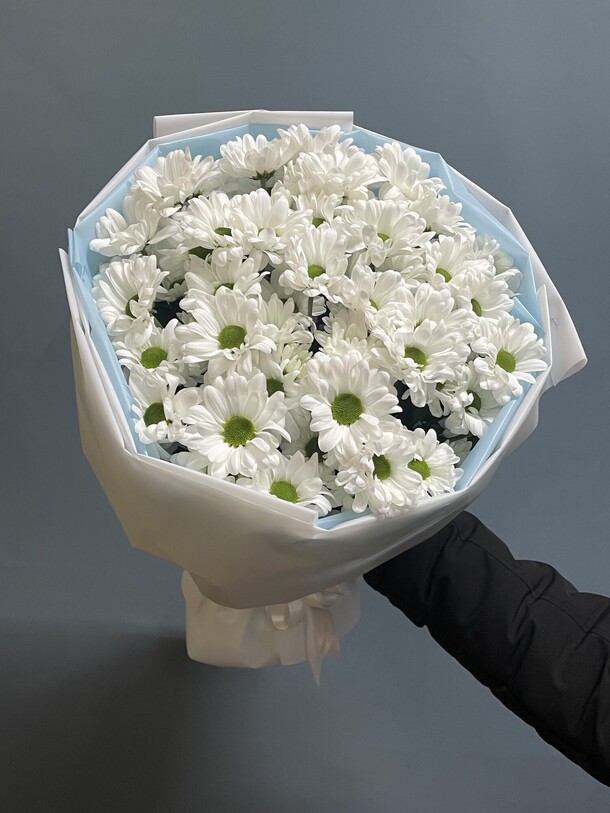 Хризантема, артикул F1251152 - 4619 рублей, доставка по городу. Flawery - доставка цветов