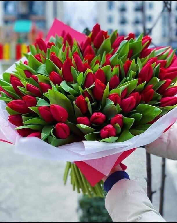 Букет из тюльпанов, артикул F1256850 - 14545 рублей, доставка по городу. Flawery - доставка цветов