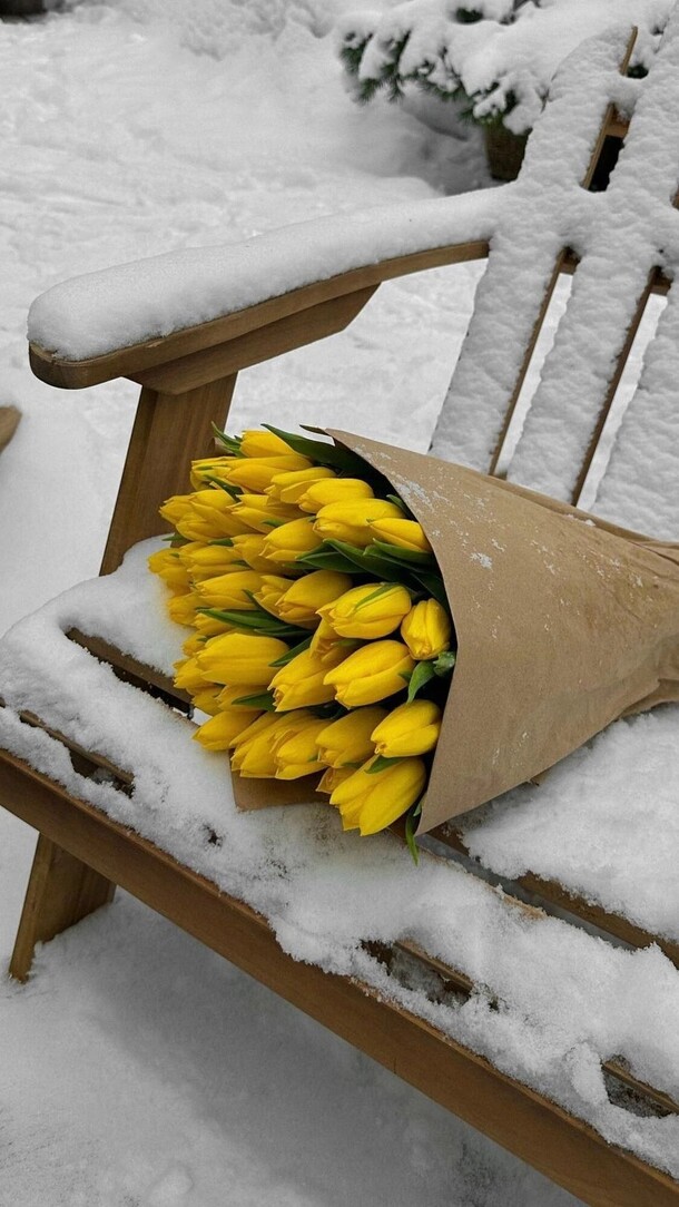 Желтые тюльпаны, артикул F1257484 - 12190 рублей, доставка по городу. Flawery - доставка цветов