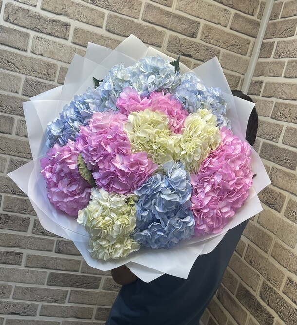 Гортензия микс, артикул F1287564 - 6380 рублей, доставка по городу. Flawery - доставка цветов