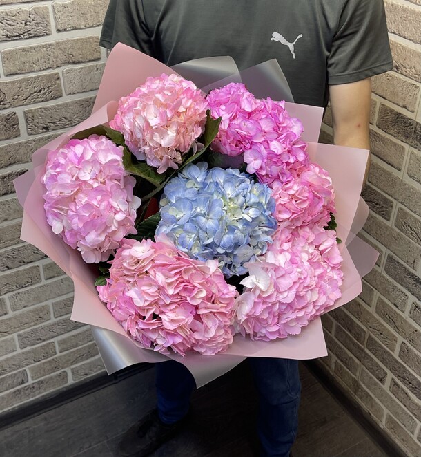 Гортензии, артикул F1301787 - 5059 рублей, доставка по городу. Flawery - доставка цветов