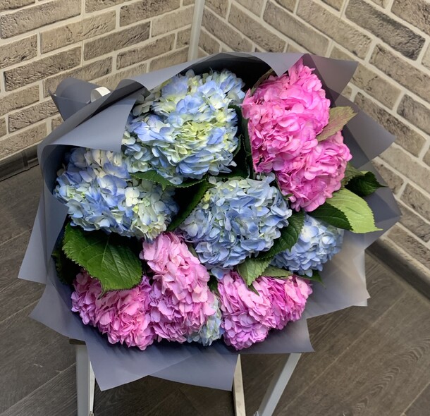 Гортензия микс в упаковке, артикул F1308429 - 6599 рублей, доставка по городу. Flawery - доставка цветов