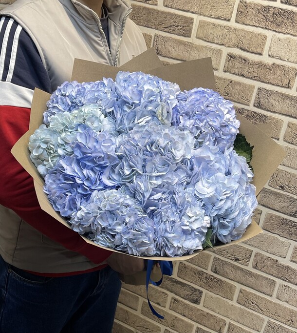Гортензия голубая, артикул F1334236 - 8006 рублей, доставка по городу. Flawery - доставка цветов