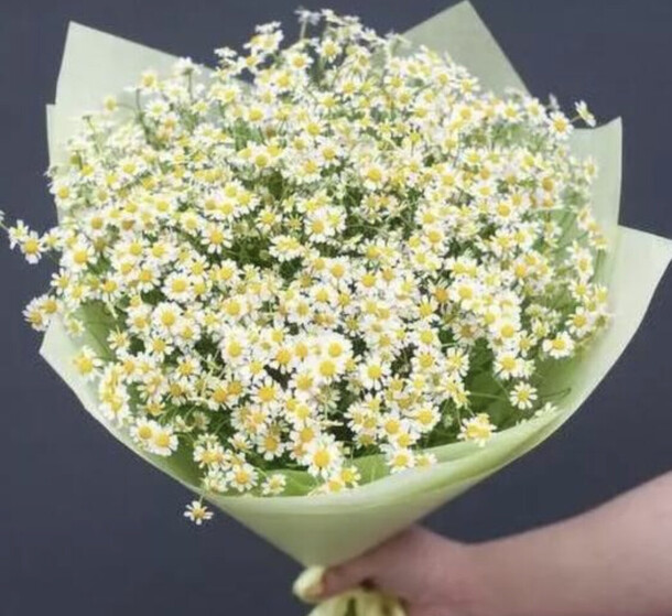 Букет «ромашковый пир», артикул F1221483 - 7554 рублей, доставка по городу. Flawery - доставка цветов