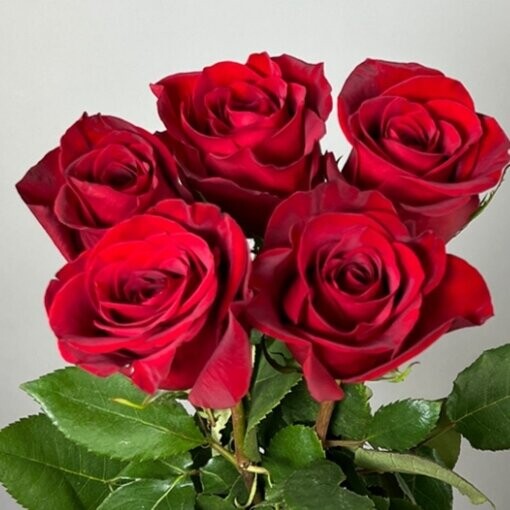 Букет из 5 роз, артикул F1239320 - 2319 рублей, доставка по городу. Flawery - доставка цветов