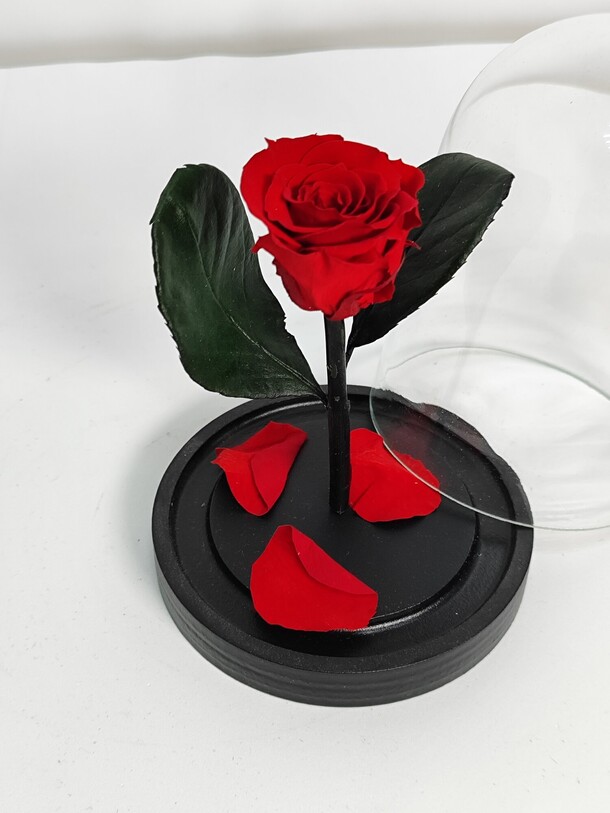 Роза и колбе, артикул F1339246 - 2700 рублей, доставка по городу. Flawery - доставка цветов