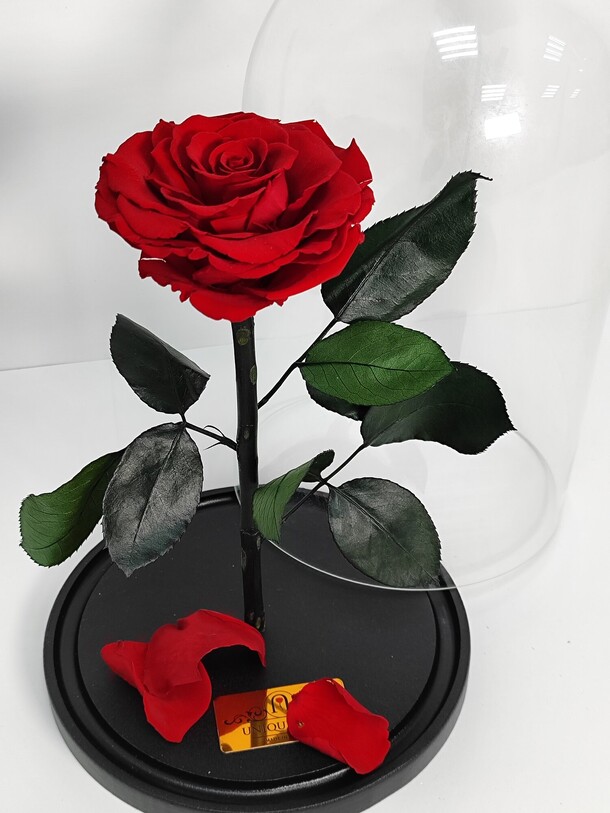 Роза в колбе, артикул F1339251 - 7200 рублей, доставка по городу. Flawery - доставка цветов