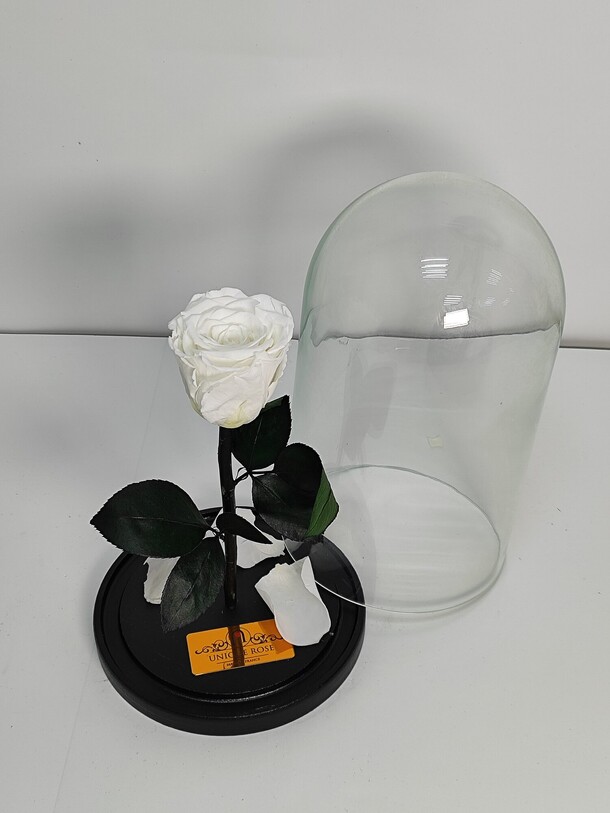 Роза в колбе, артикул F1339257 - 4800 рублей, доставка по городу. Flawery - доставка цветов